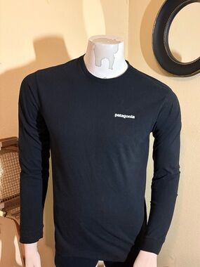 Patagonia Men’s Small Black Long Sleeve P-6 Logo Sunset Mountain Tee